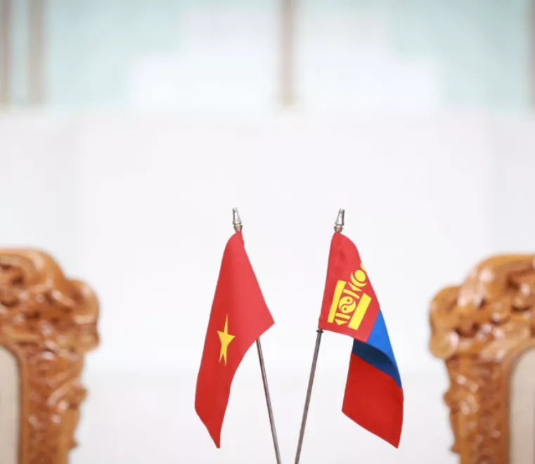 Вьетнам руу гуравдугаар сарын 7-ноос визгүй зорчино