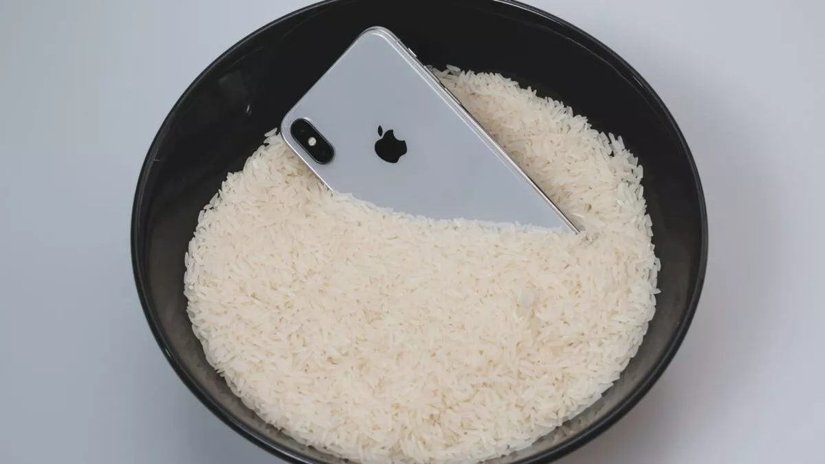 Усанд унагасан iPhone-ийг цагаан будаан дотор хатаахгүй байхыг Apple зөвлөжээ