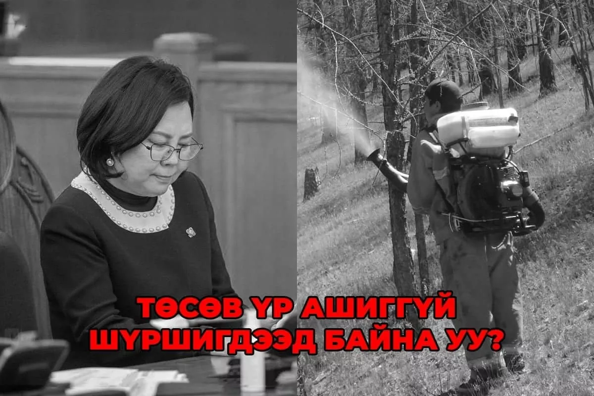 Төсвийн мөнгө үр ашиггүй шүршигдээд байна уу? Сайд аа
