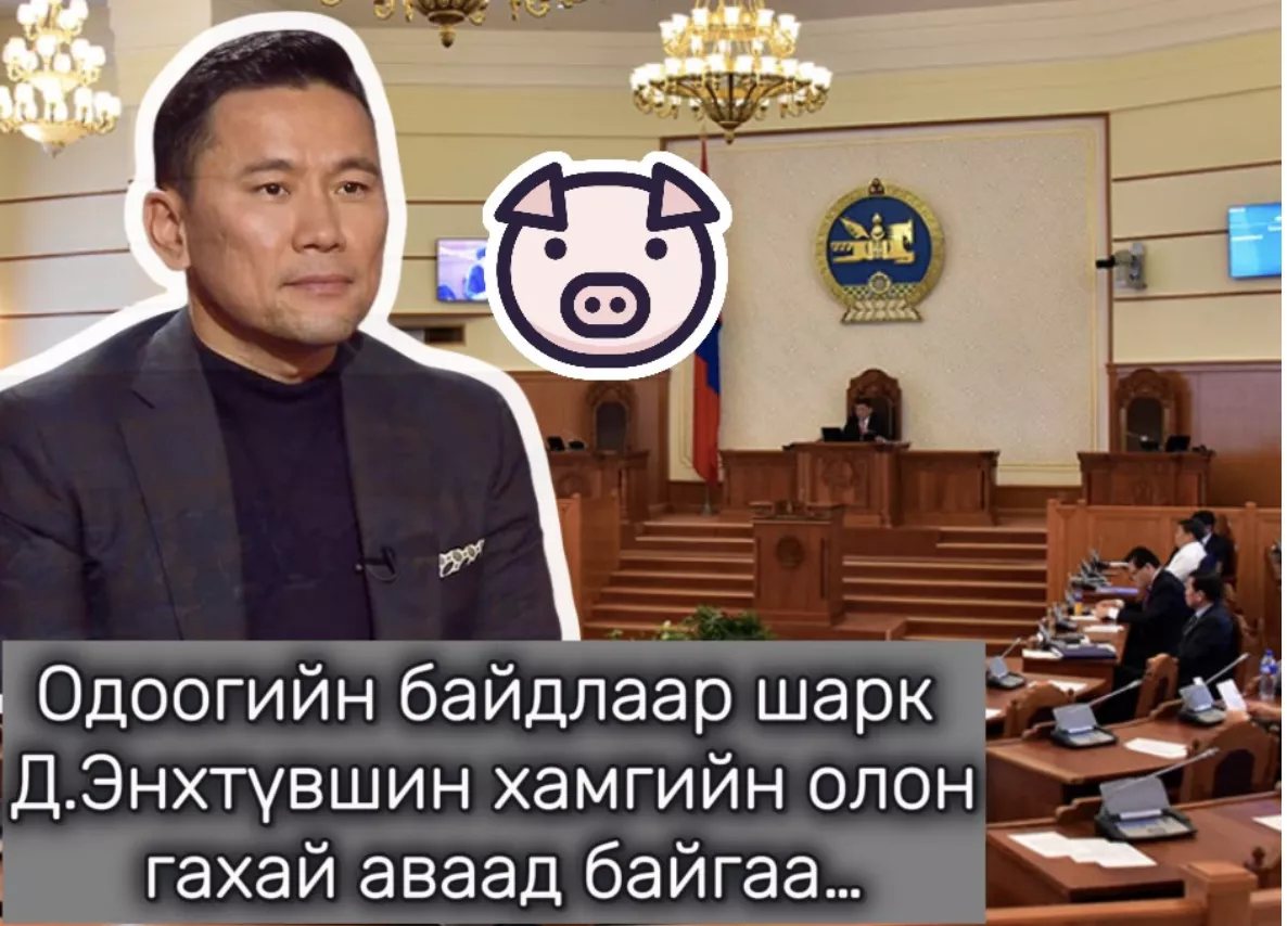 Одоогийн байдлаар шарк Д.Энхтүвшин хамгийн олон гахай аваад байгаа…