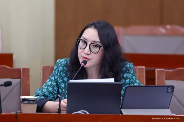 Шалтаг нь “...Баярцогт” шалтгаан нь Баялгийн сан
