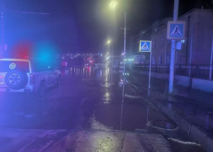Усанд унасан цахилгааны утаснаас тогонд цохиулж гэмтжээ