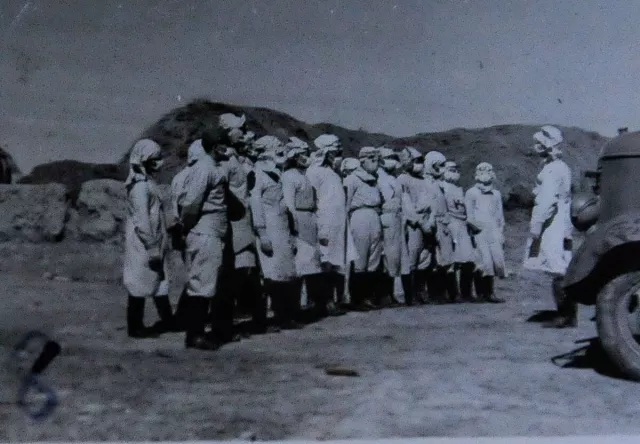 Японы 731-р ангид яргалуулж, алагдсан хүмүүс дунд Монголчууд ч байжээ