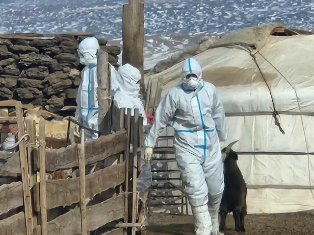 ХАЛДВАРТ, ГОЦ ХАЛДВАРТ ӨВЧНӨӨС УРЬДЧИЛАН СЭРГИЙЛЭХ ЯАРАЛТАЙ БОЛОН ТӨЛӨВЛӨГӨӨТ ДАРХЛААЖУУЛАЛТЫН МЭДЭЭ