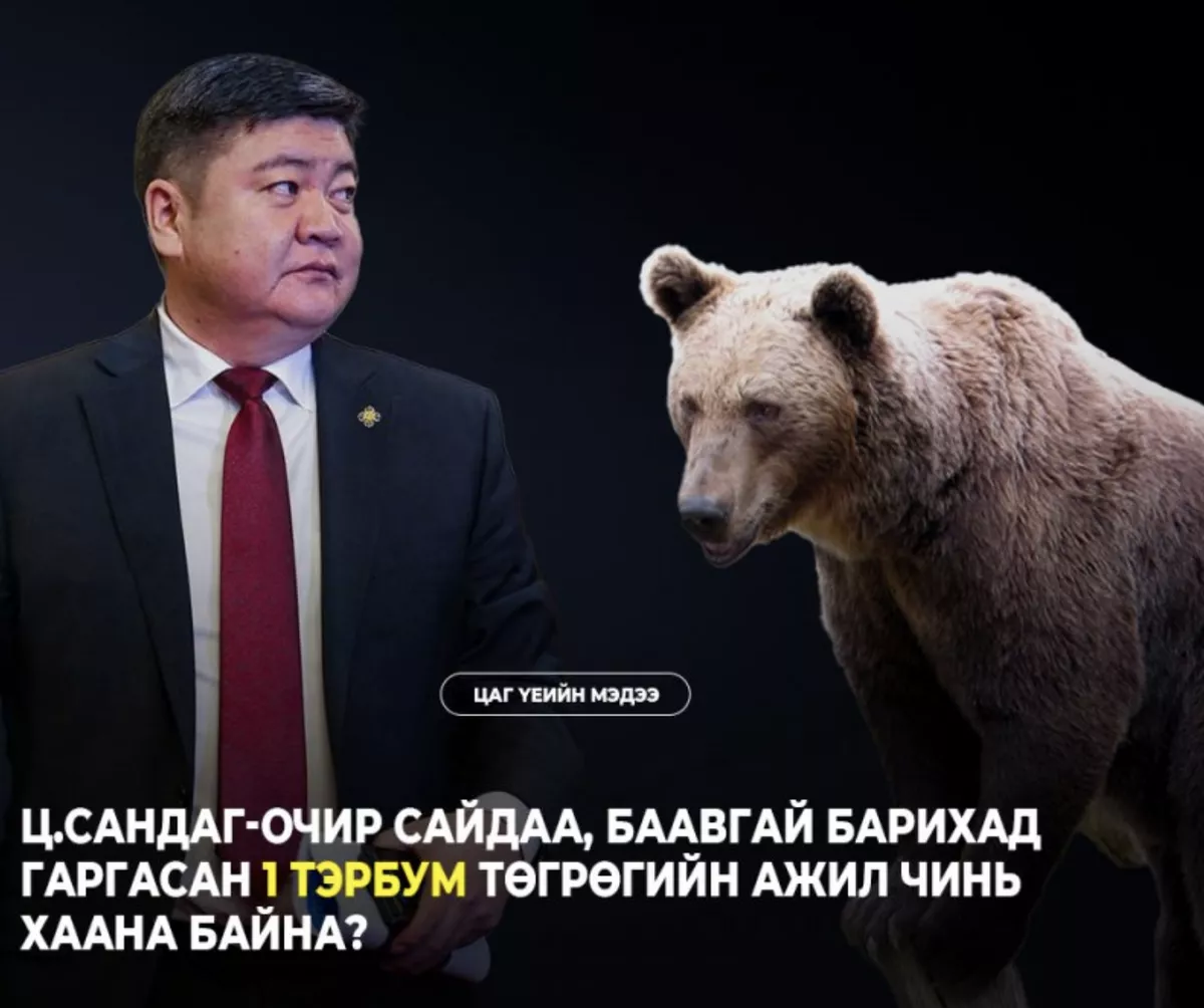 Ц.Сандаг-Очир сайдаа, баавгай барихад гаргасан 1 тэрбум төгрөгийн ажил чинь хаана байна?