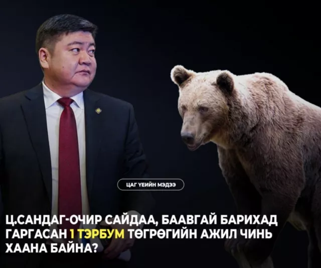 Ц.Сандаг-Очир сайдаа, баавгай барихад гаргасан 1 тэрбум төгрөгийн ажил чинь хаана байна?