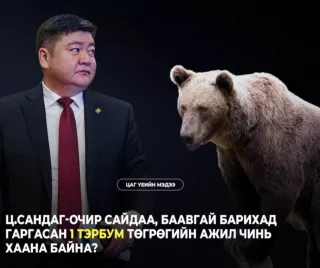 Ц.Сандаг-Очир сайдаа, баавгай барихад гаргасан 1 тэрбум төгрөгийн ажил чинь хаана байна?