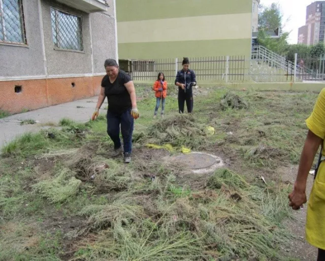 21.3 тонн хөл газрын ургамал, хог хаягдлыг цэвэрлэв