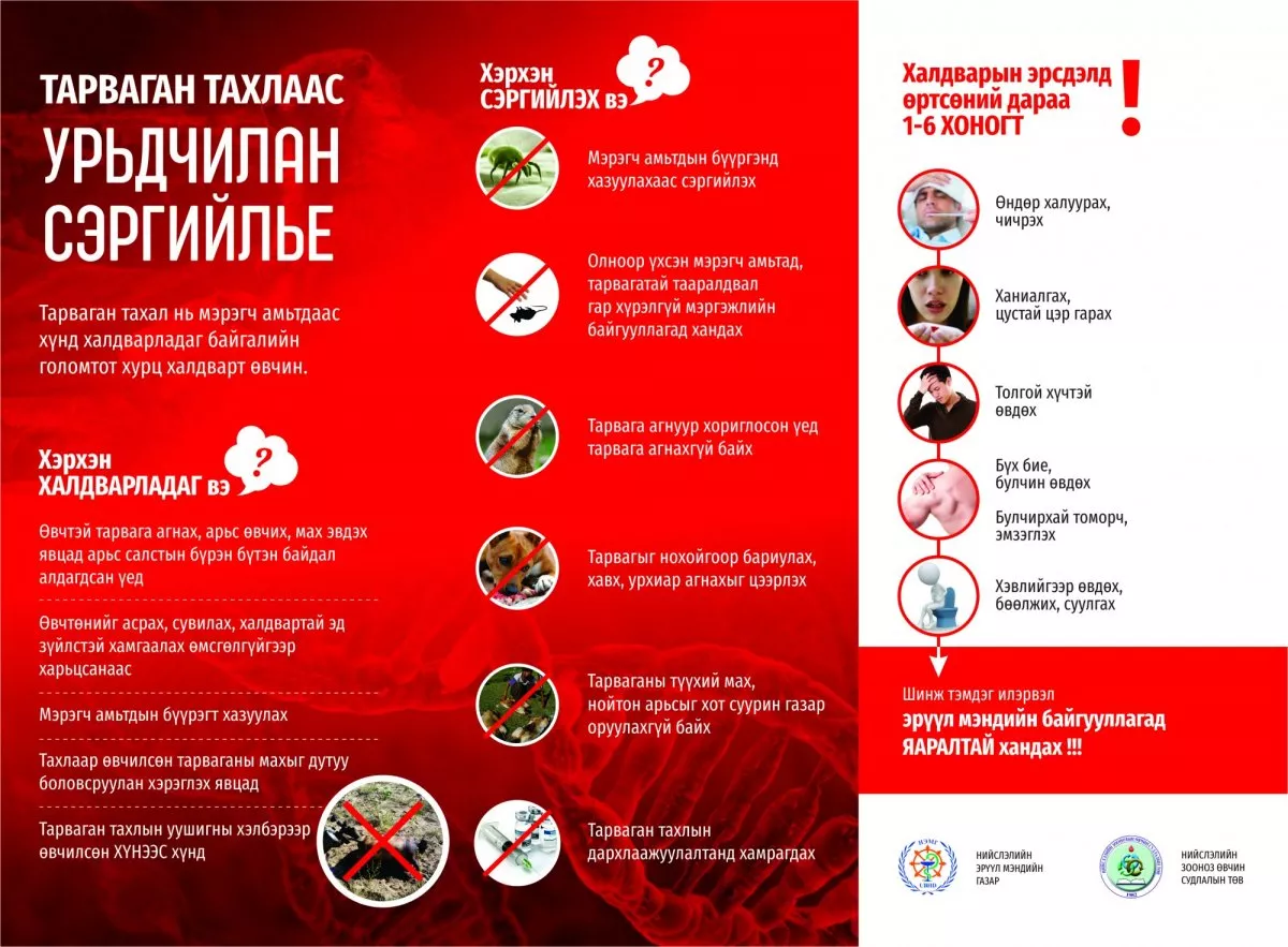 Тарваган тахал өвчний шинж тэмдгүүд