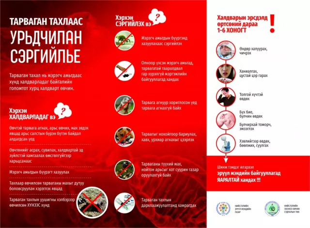 Тарваган тахал өвчний шинж тэмдгүүд