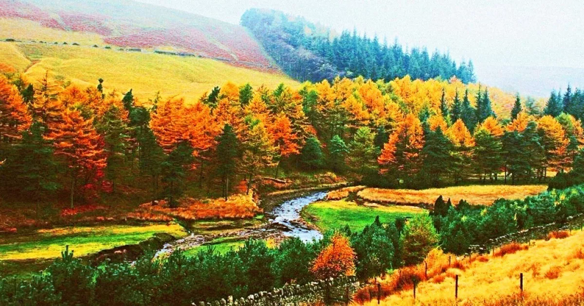 Цаг агаарын урьдчилсан мэдээ