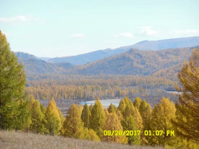 Цаг агаарын урьдчилсан мэдээ
