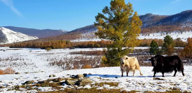 Цаг агаарын урьдчилсан мэдээ