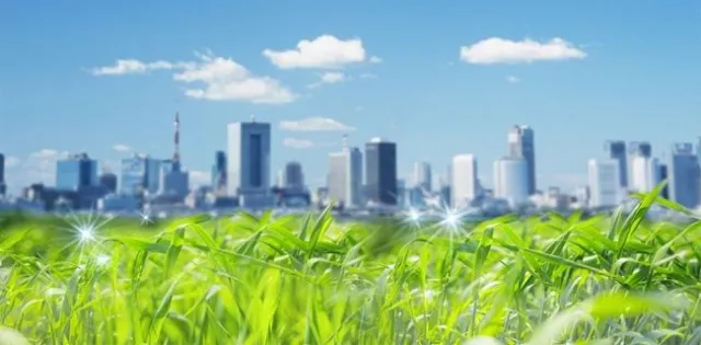 Ногоон Улаанбаатар руу яаралтай шилжье