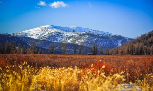 Хэрлэнгийн Хөдөө арлыг Шэйман компаниар юуч үгүй болтол сэглүүлэх гэж үү