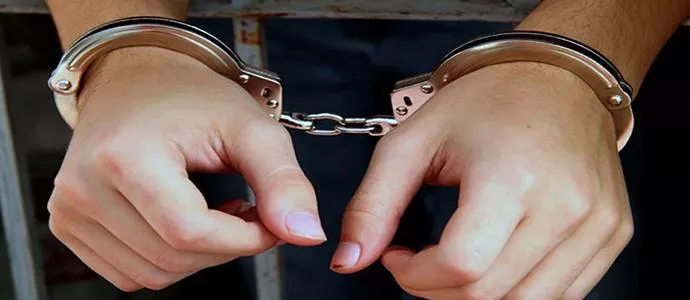 Монгол Улсын 167 иргэн гадаадад ял эдэлж байгаагаас хулгайлах хэрэгт ял эдэлж байгаа 73 иргэн байна