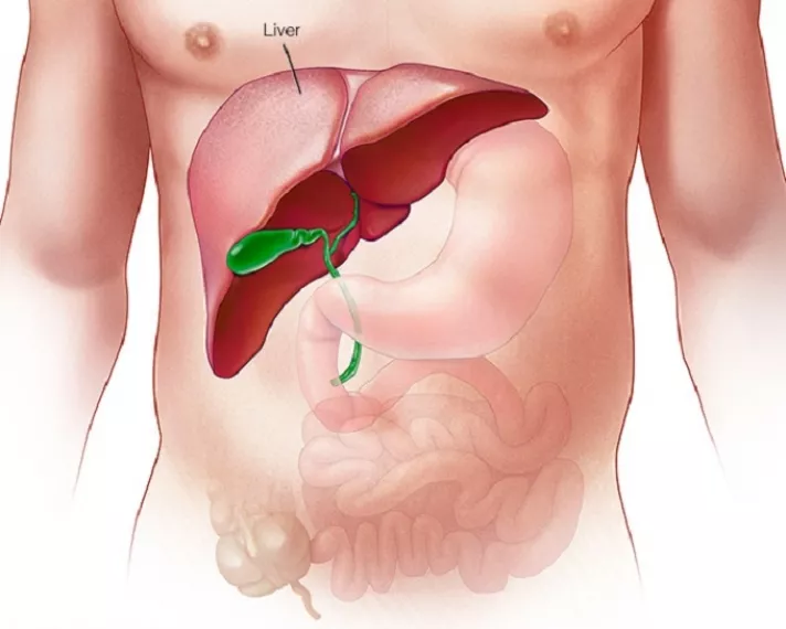 Н.Гэрэлт-Од: Элэгний хорт хавдрыг бүх шатны эмнэлэгт илрүүлж, оношлох боломж бүрдлээ