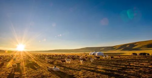 Цаг агаарын урьдчилсан мэдээ