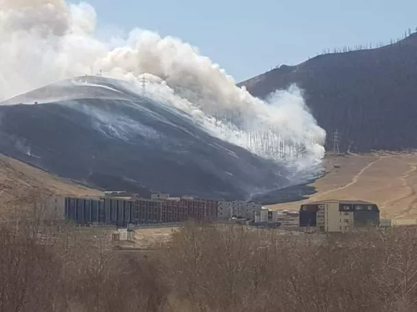 Нийслэлийн ногоон бүсэд амралт, аялал зугаалга зохион байгуулахыг хориглолоо