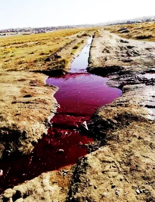Шугам бөглөрснөөс халилт үүсч, "цусан" гол урсжээ