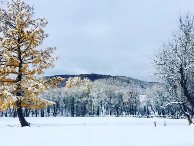 Улаанбаатарт өдөртөө 2 хэм дулаан