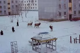 Цаг агаарын урьдчилсан мэдээ