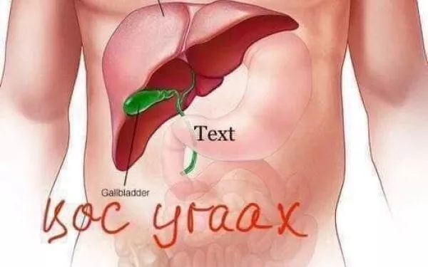 Цөс угаах нь дотор эрхтэн, нүүрний арьсанд сайн нөлөөтэй