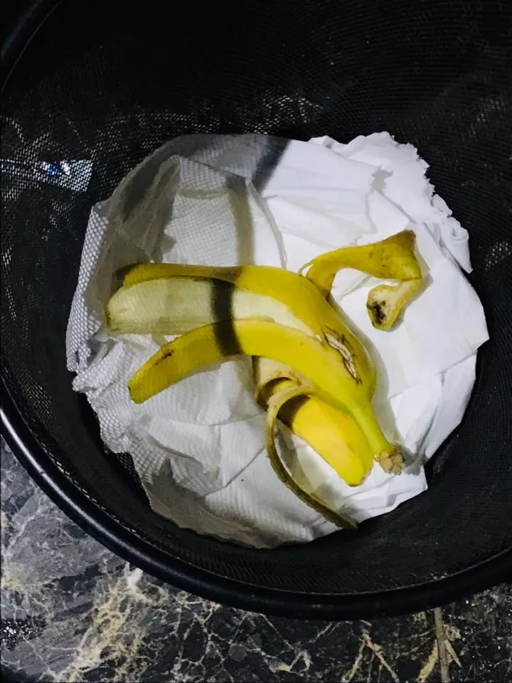 "СOCO BANANA" баарны эмэгтэй 00-с банана гарчээ