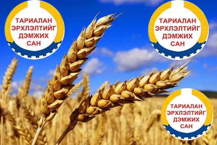 Тариалан эрхлэгчдийг дэмжих сан гээчийн сайнаасаа саар нь давамгайлах болжээ