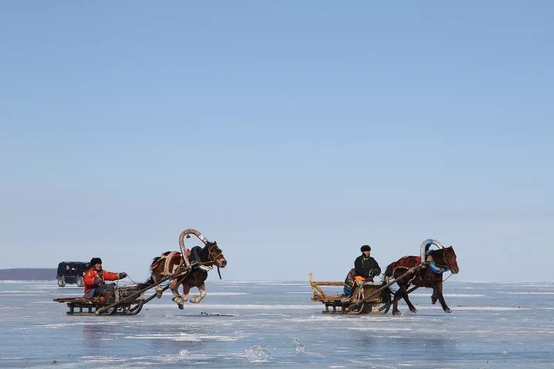 "ХӨХ СУВД" МӨСНИЙ БАЯР 20 ДАХЬ ЖИЛДЭЭ БОЛНО
