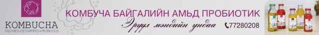Танилц: "Комбуча" Эрүүл мэндийн ундаа