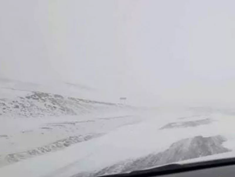 Цасан шуурга шуурч байгаа тул анхаарал болгоомжтой зорчино уу