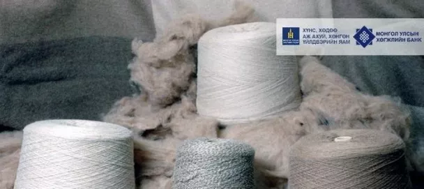 ХӨГЖЛИЙН БАНК: Ноолуурын хөнгөлөлттэй ЗЭЭЛИЙН НӨХЦӨЛ батлагдлаа