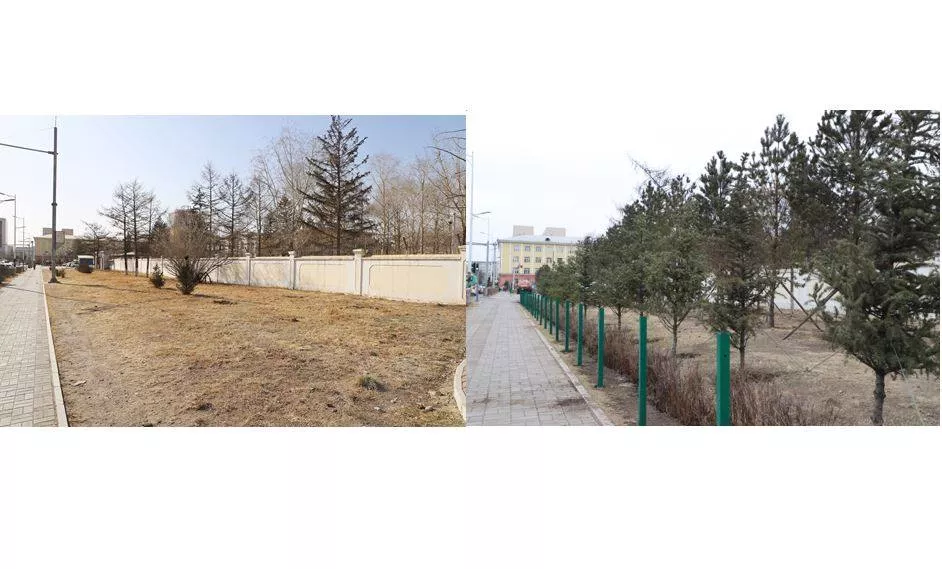 Нийслэлд шинээр 122 га талбайд ногоон байгууламж байгуулна