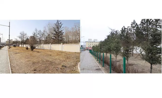 Нийслэлд шинээр 122 га талбайд ногоон байгууламж байгуулна