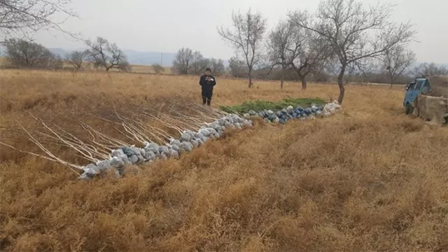 Хүрээлэн буй орчны эсрэг үйлдэж буй гэмт хэргийн тоог бууруулна